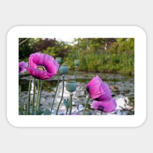 The Gardens of Monet Sticker